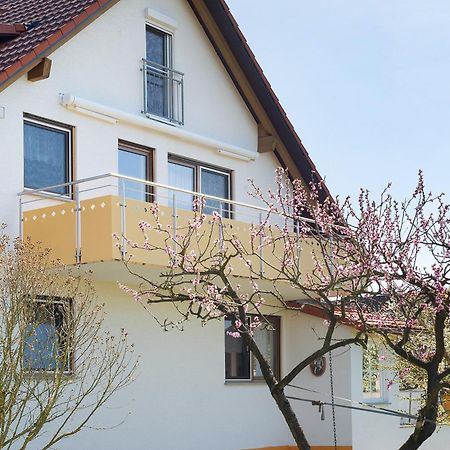 Enderle Daire Uhldingen-Mühlhofen Dış mekan fotoğraf